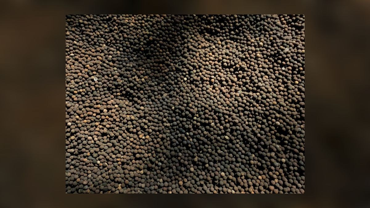 Top 10 ADA Aqua Soil Products 2027 — figure 2