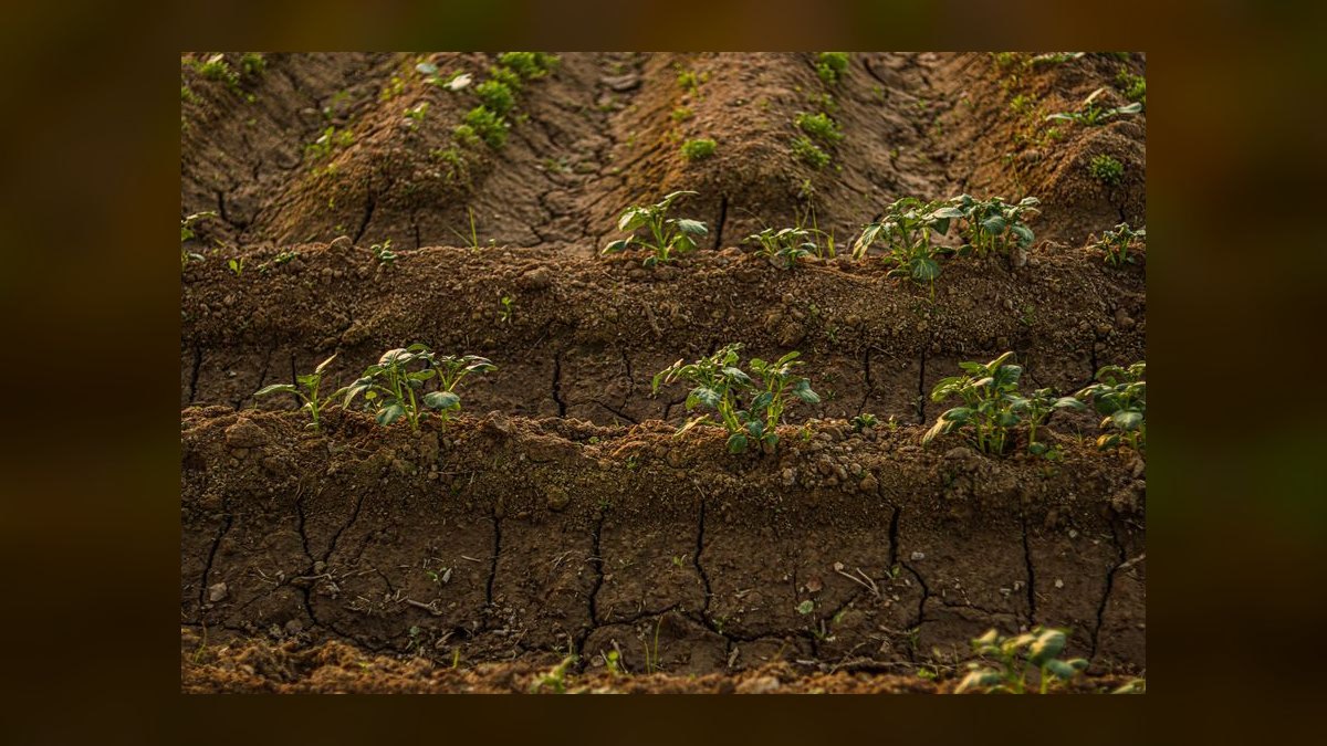 Top 10 ADA Aqua Soil Products 2027 — figure 7