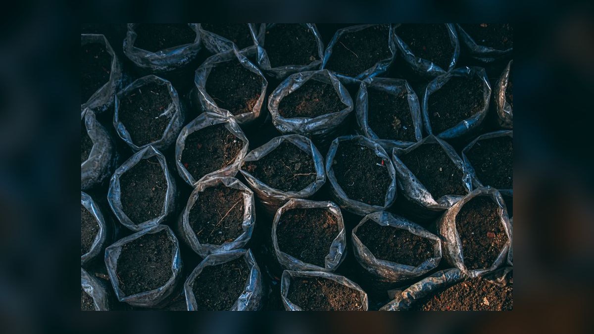 Top 10 ADA Aqua Soil Products 2027
