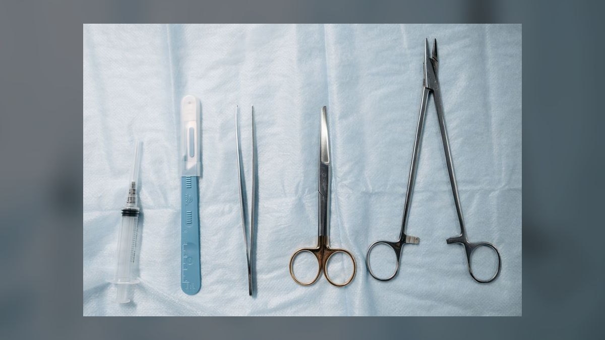 Top 10 Aquarium Tweezers and Scissors 2027