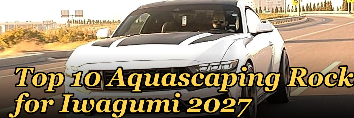 Top 10 Aquascaping Rocks for Iwagumi 2027