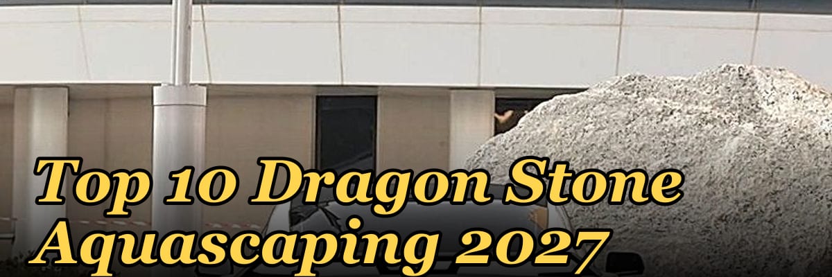 Top 10 Dragon Stone Aquascaping 2027