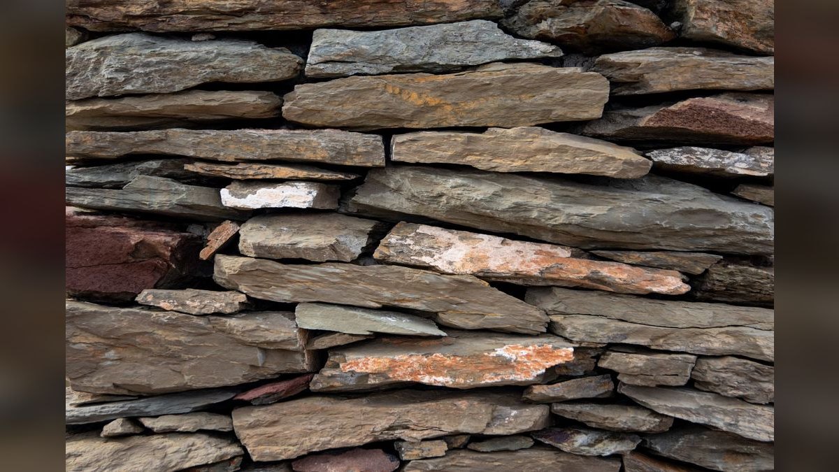 Top 10 Seiryu Stone Hardscape 2027 — figure 5