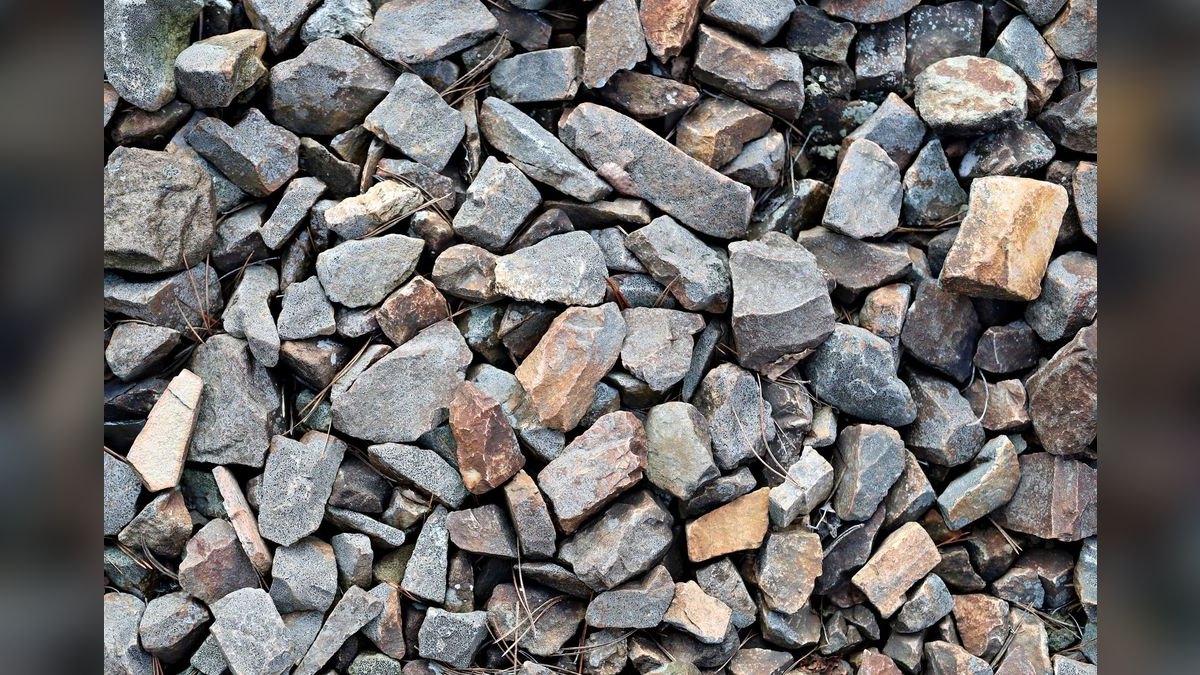 Top 10 Seiryu Stone Hardscape 2027 — figure 6