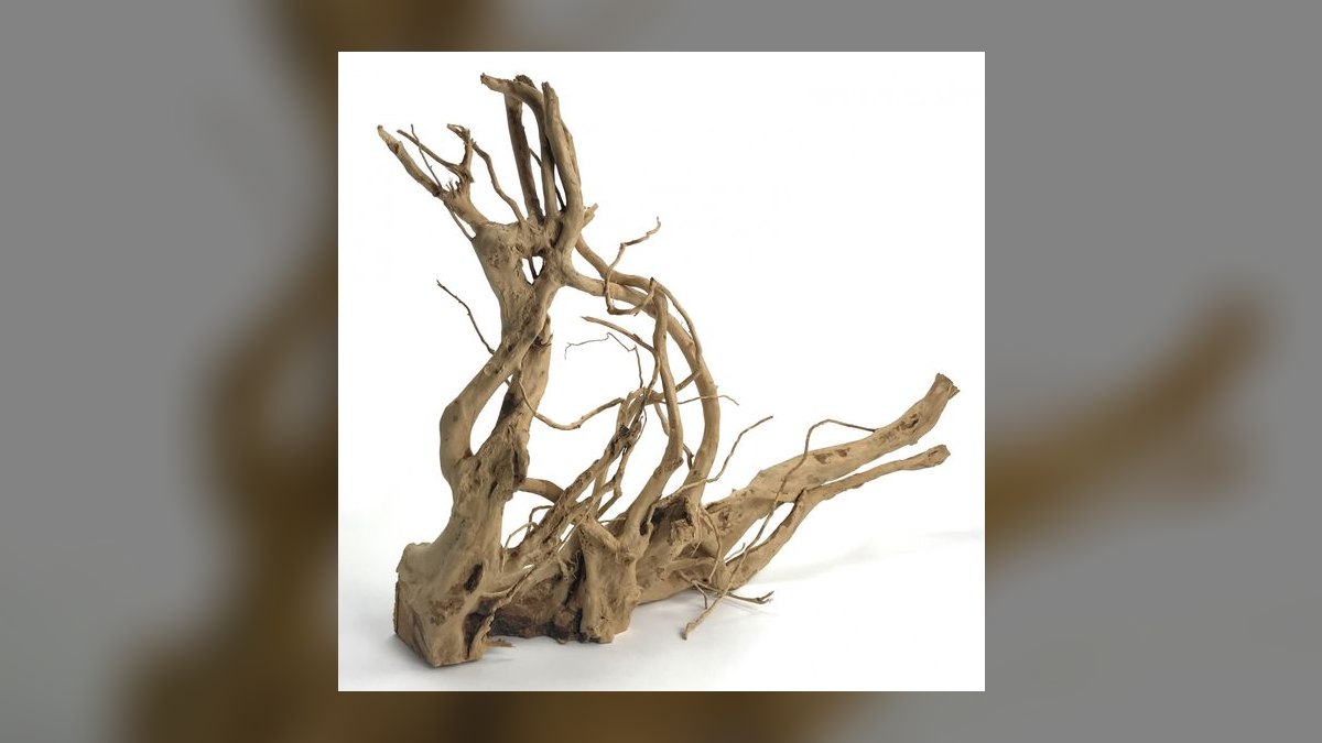 Top 10 Spider Wood for Aquascapes 2027 — figure 10