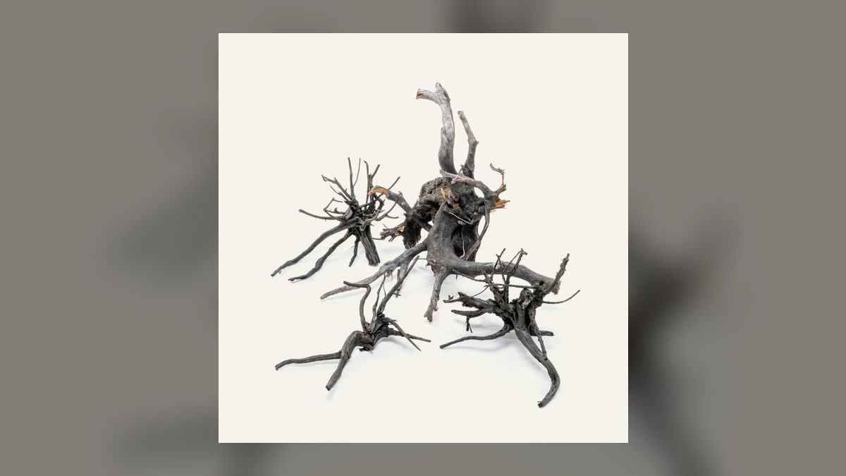 Top 10 Spider Wood for Aquascapes 2027 — figure 4