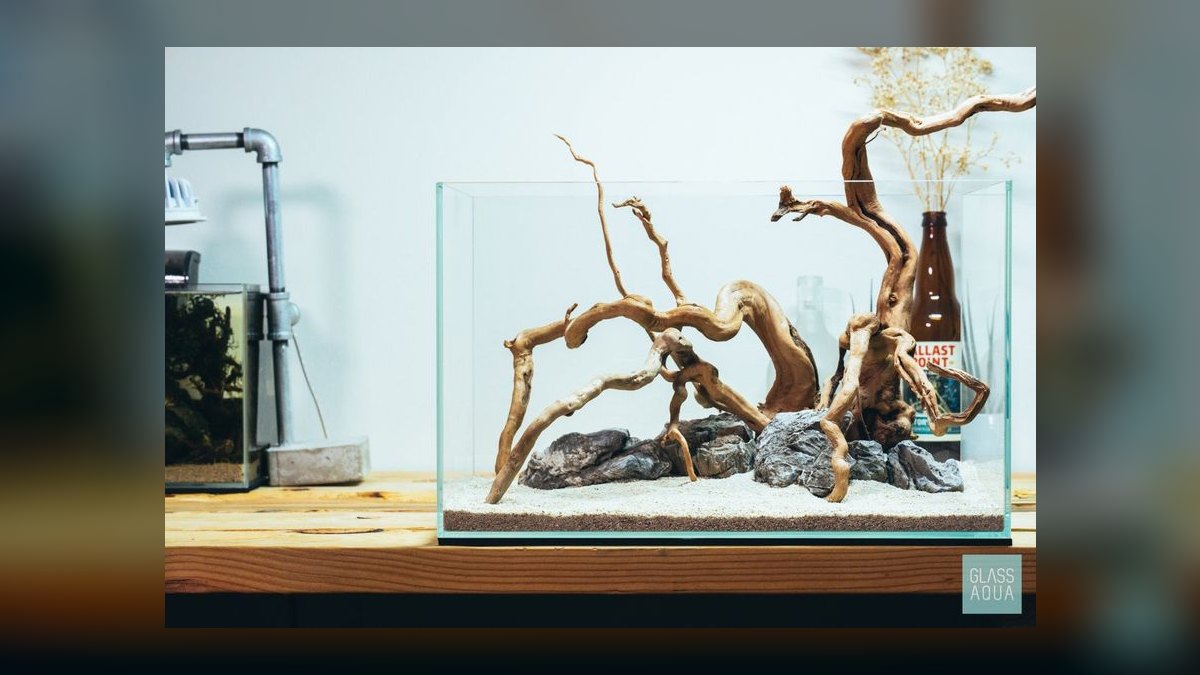 Top 10 Spider Wood for Aquascapes 2027 — figure 7