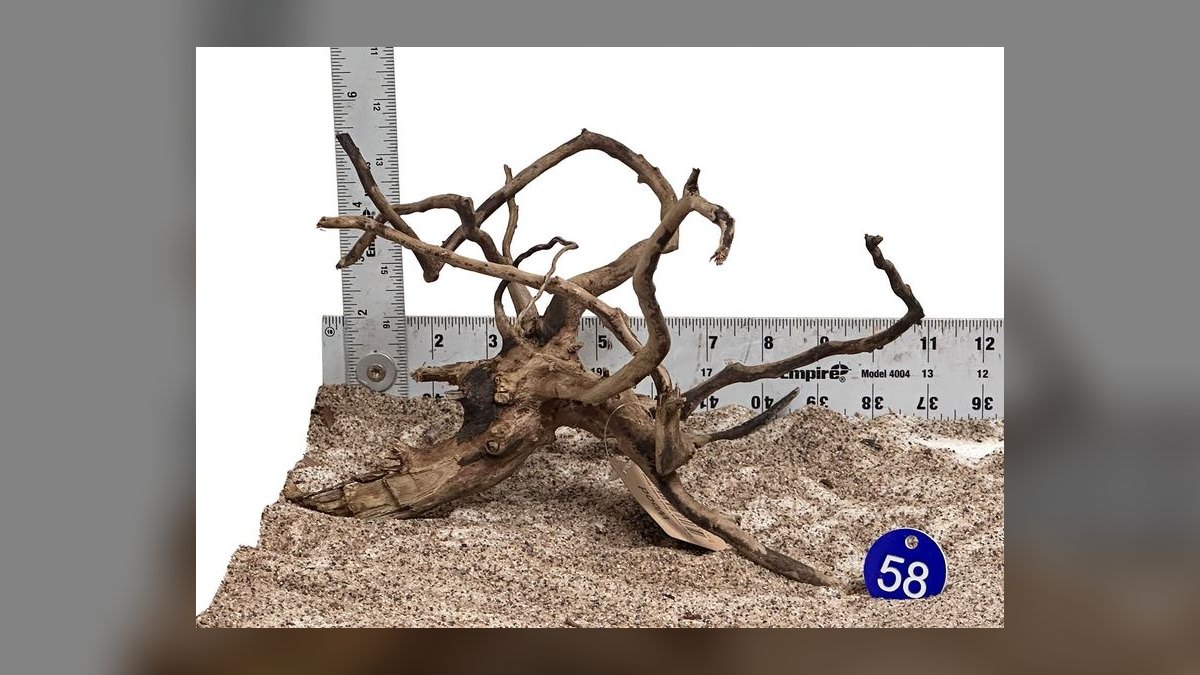 Top 10 Spider Wood for Aquascapes 2027 — figure 8