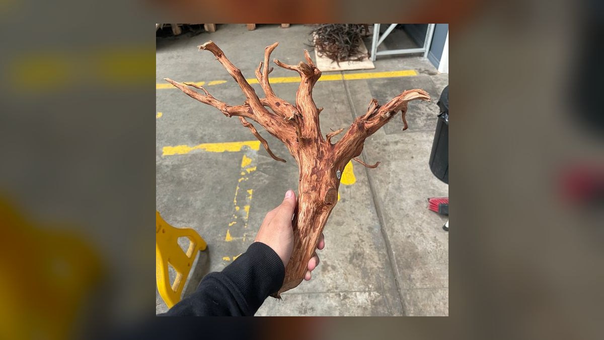 Top 10 Spider Wood for Aquascapes 2027