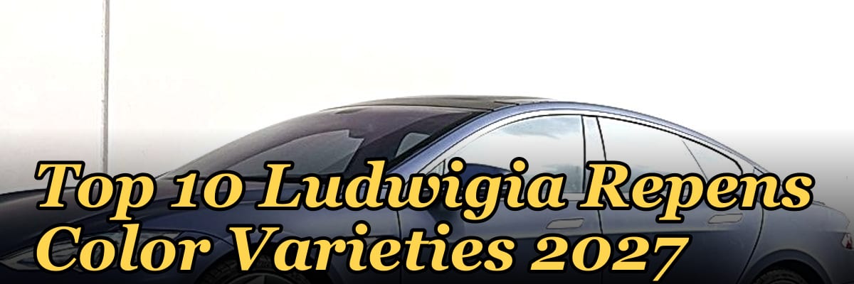 Top 10 Ludwigia Repens Color Varieties 2027