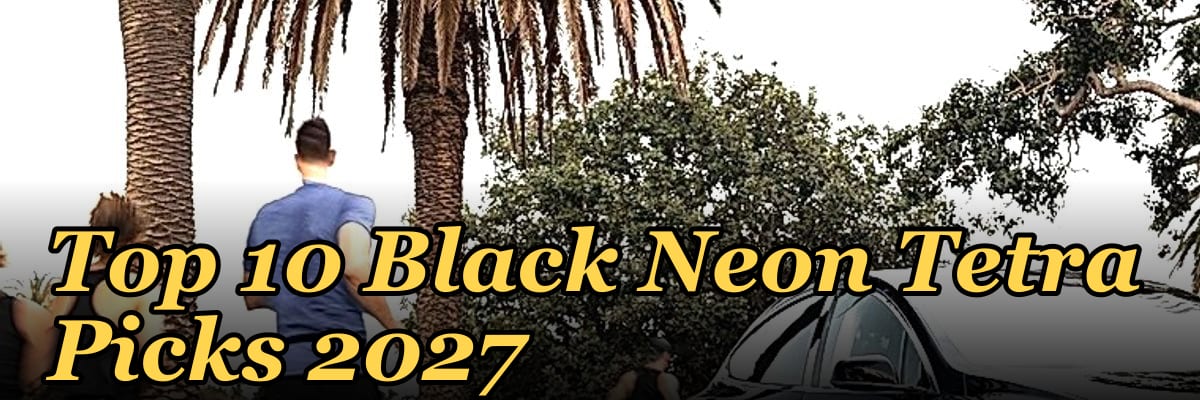 Top 10 Black Neon Tetra Picks 2027