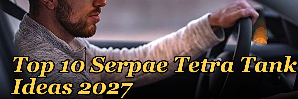 Top 10 Serpae Tetra Tank Ideas 2027