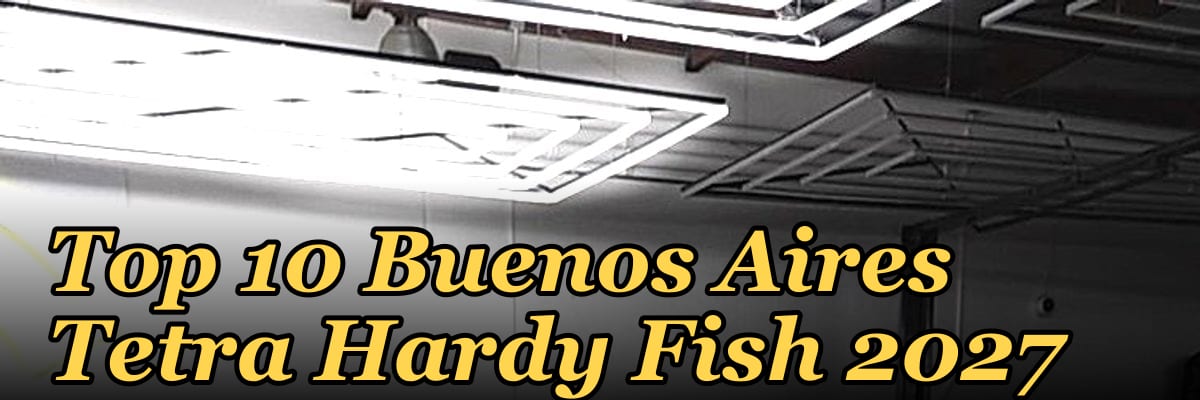 Top 10 Buenos Aires Tetra Hardy Fish 2027