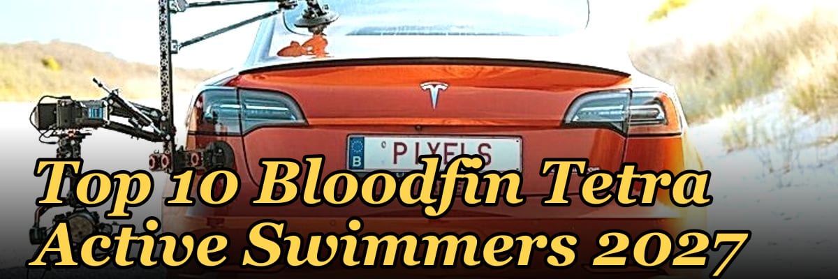 Top 10 Bloodfin Tetra Active Swimmers 2027