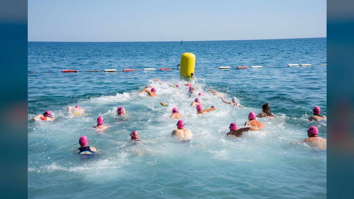 Top 10 Hatchetfish Surface Swimmers 2027 — figure 3
