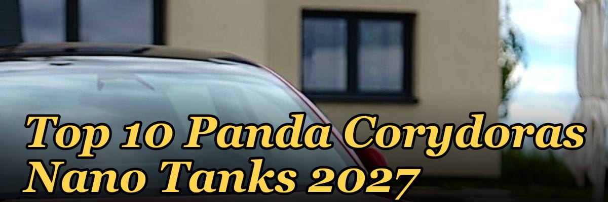 Top 10 Panda Corydoras Nano Tanks 2027