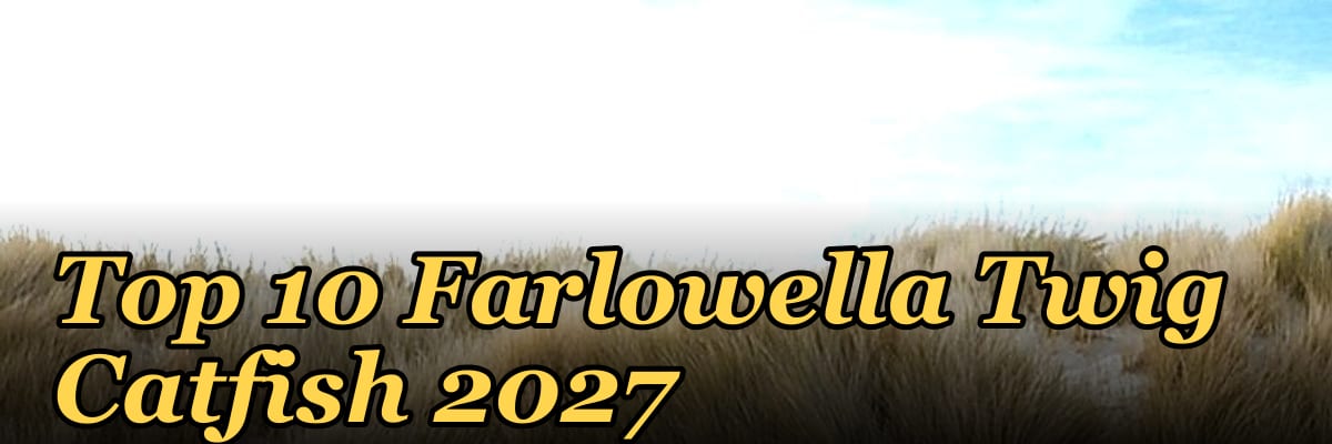 Top 10 Farlowella Twig Catfish 2027