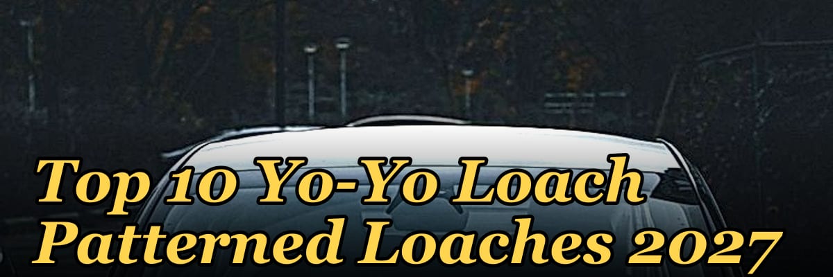 Top 10 Yo-Yo Loach Patterned Loaches 2027
