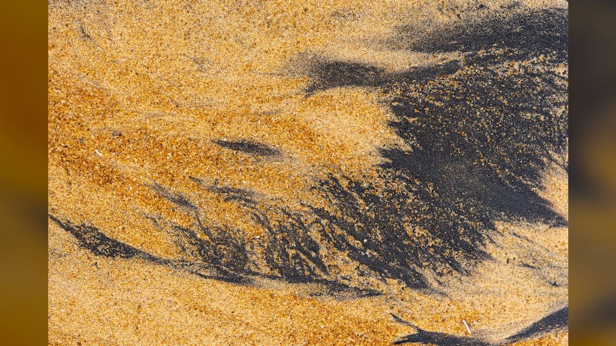 Top 10 Kuhli Loach Sand Dwellers 2027 — figure 1