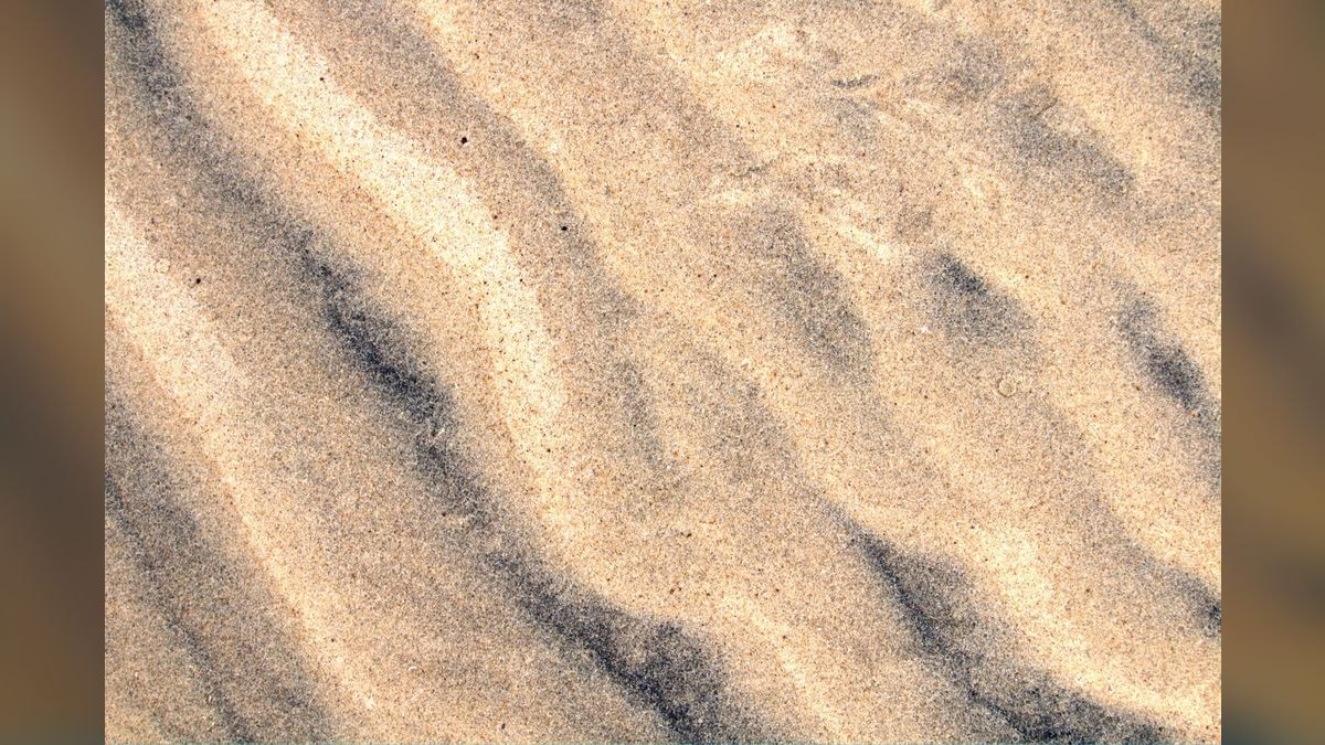 Top 10 Kuhli Loach Sand Dwellers 2027 — figure 6