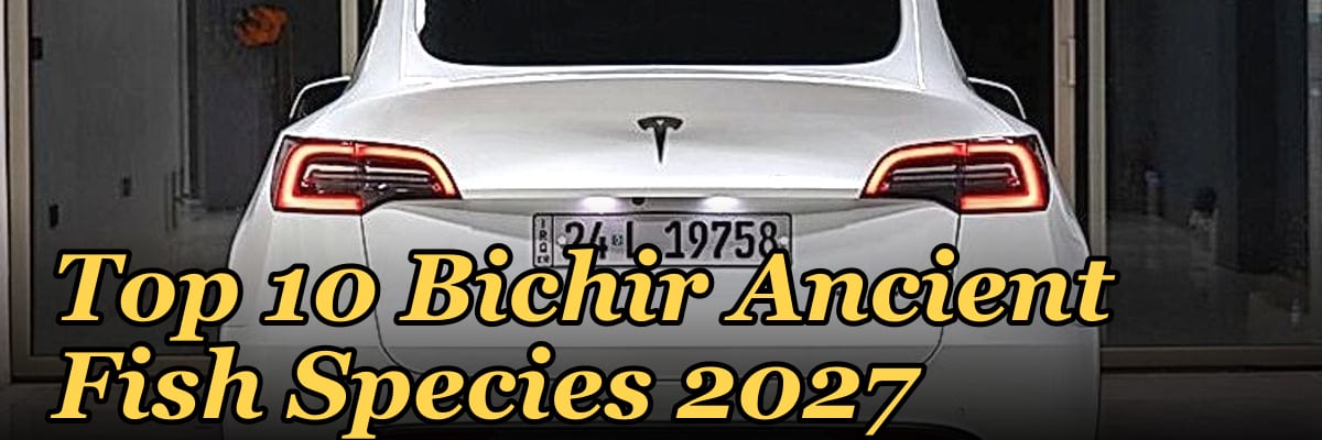 Top 10 Bichir Ancient Fish Species 2027