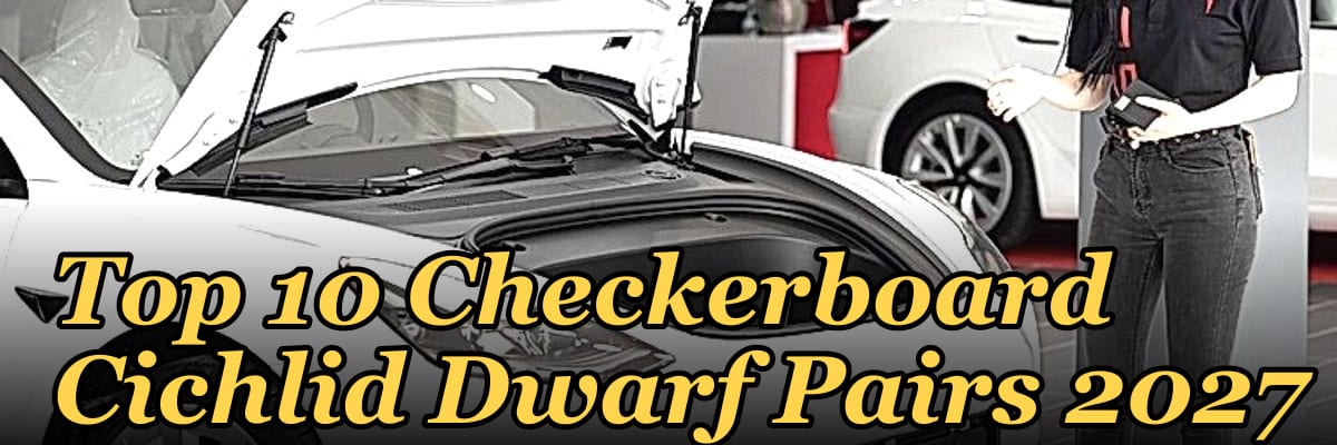 Top 10 Checkerboard Cichlid Dwarf Pairs 2027