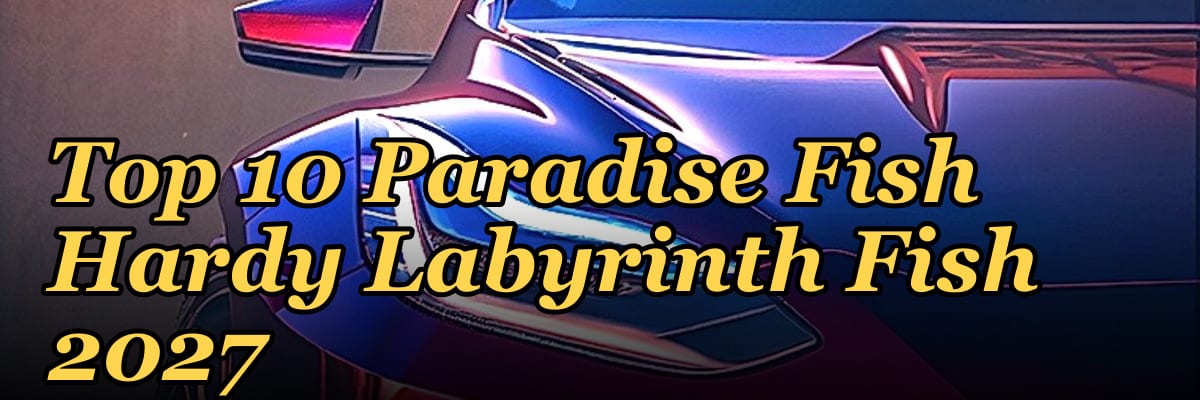 Top 10 Paradise Fish Hardy Labyrinth Fish 2027
