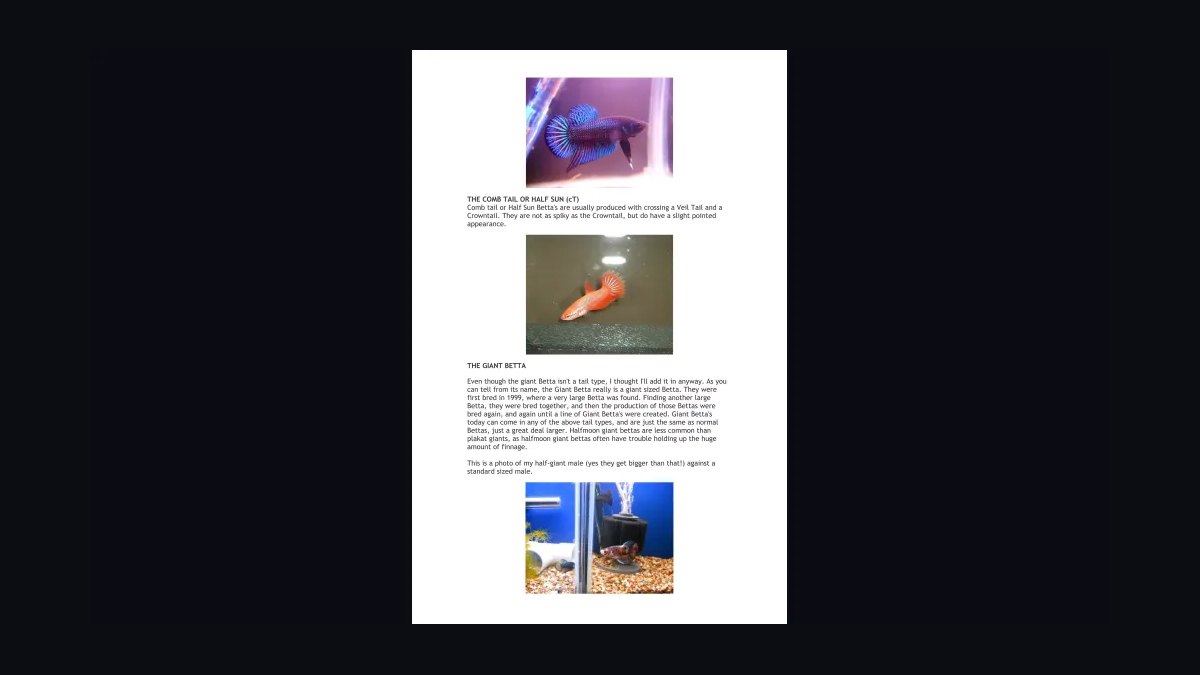 Top 10 Betta Fish Tail Types 2027 — figure 10