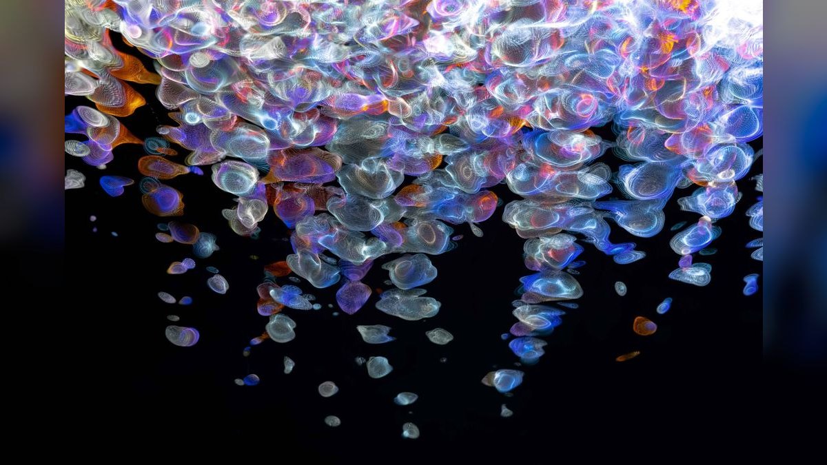 Top 10 Fancy Guppy Strain Colors 2027 — figure 4