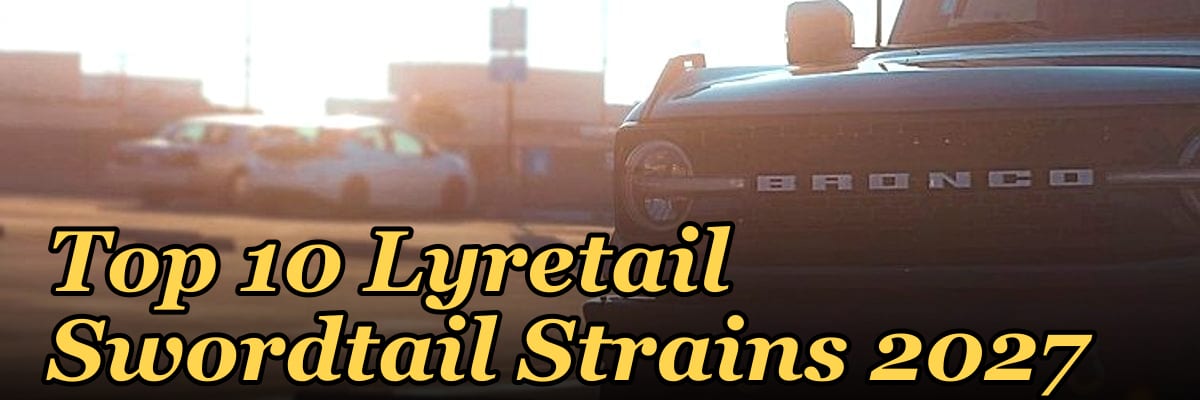 Top 10 Lyretail Swordtail Strains 2027