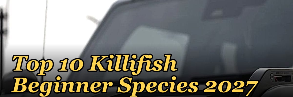 Top 10 Killifish Beginner Species 2027
