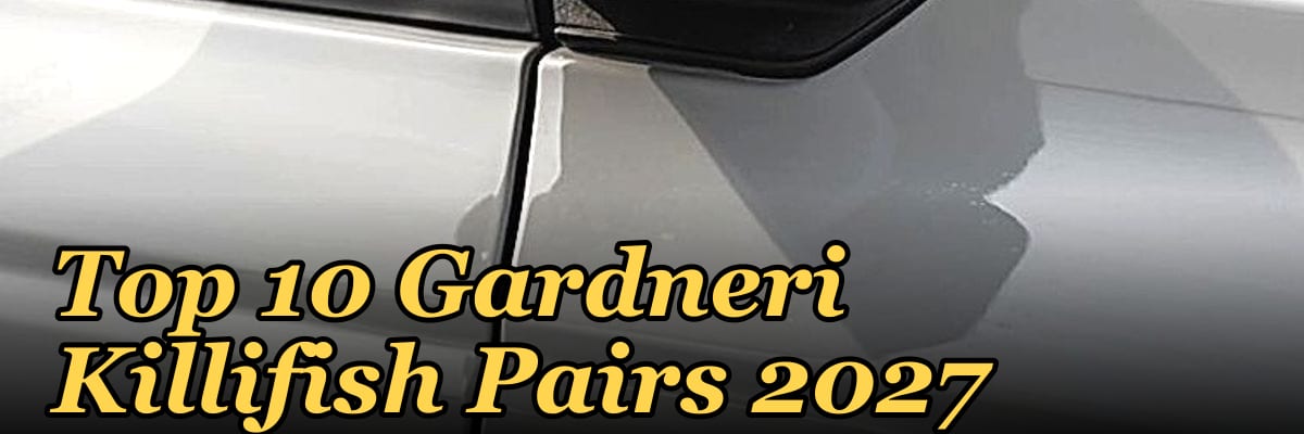 Top 10 Gardneri Killifish Pairs 2027