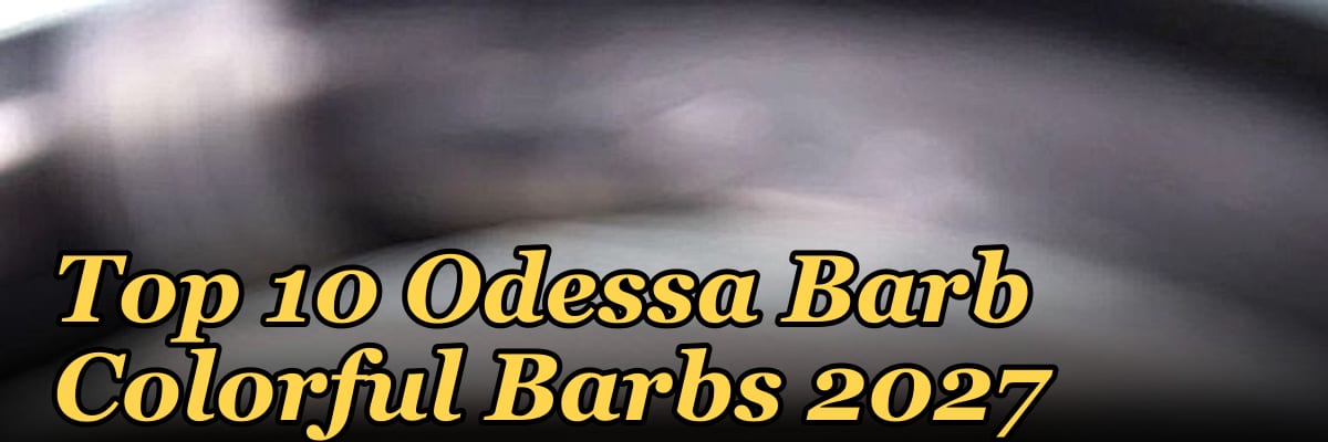 Top 10 Odessa Barb Colorful Barbs 2027