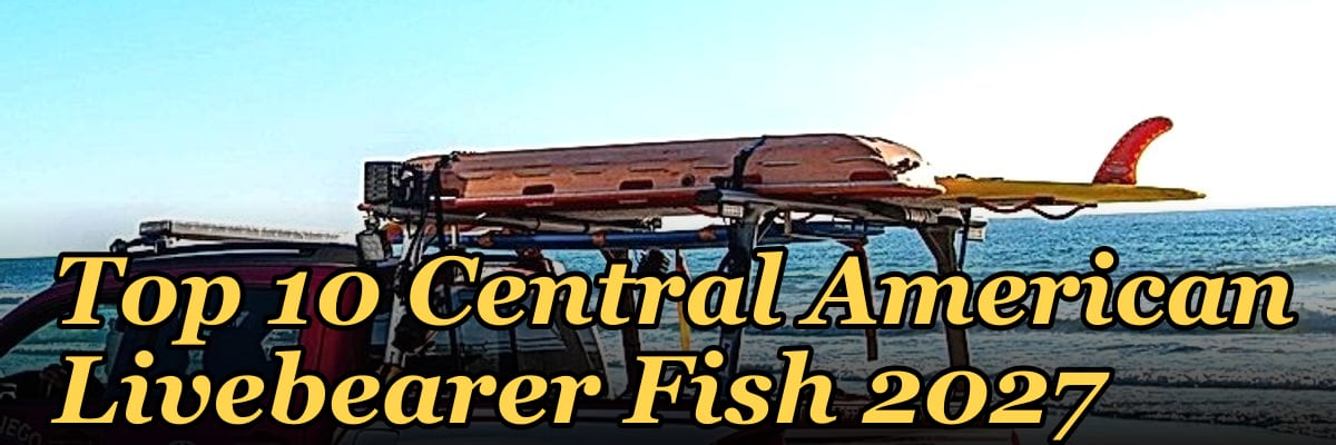 Top 10 Central American Livebearer Fish 2027