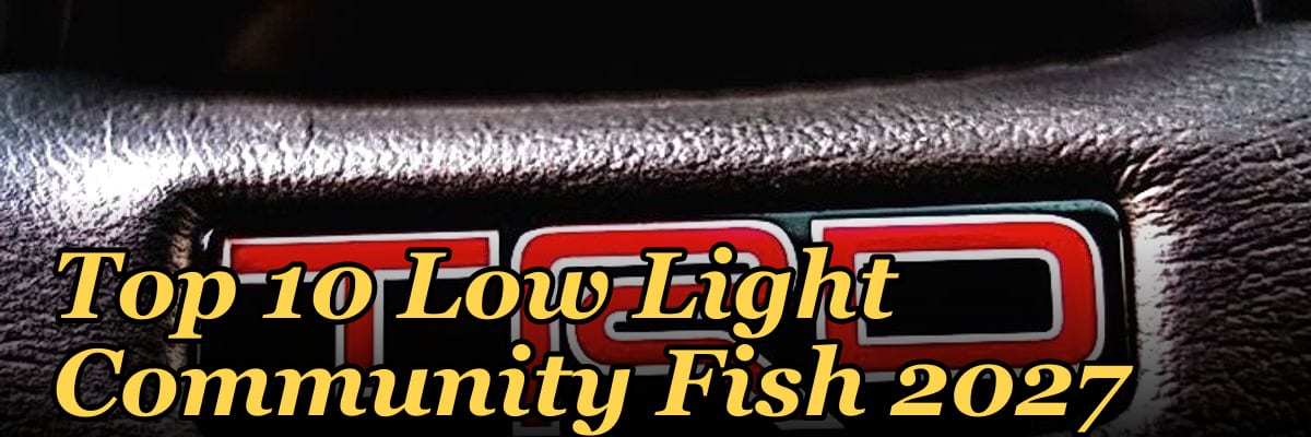 Top 10 Low Light Community Fish 2027