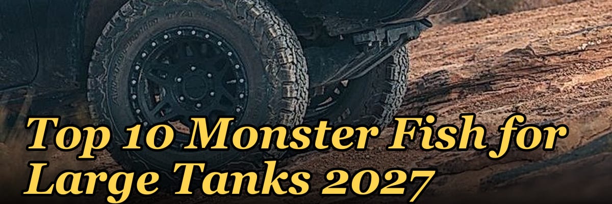 Top 10 Monster Fish for Large Tanks 2027