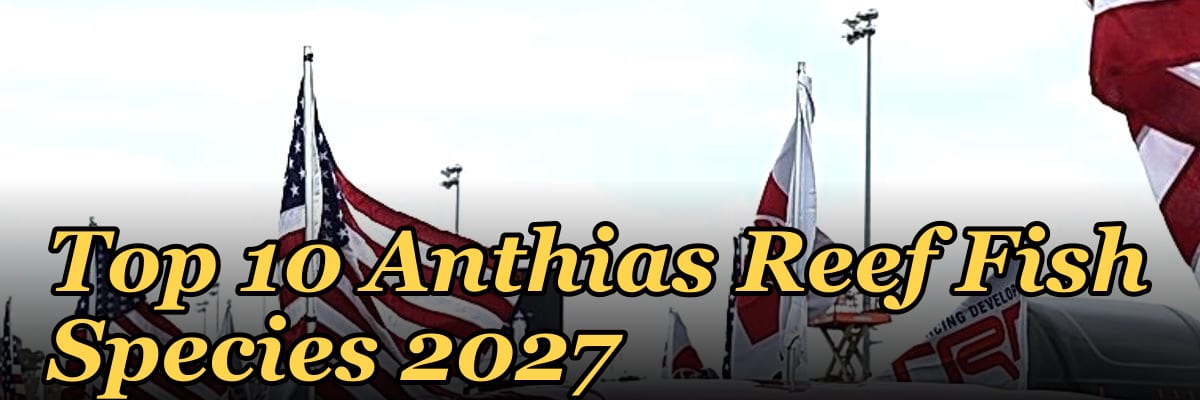 Top 10 Anthias Reef Fish Species 2027
