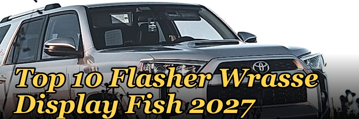 Top 10 Flasher Wrasse Display Fish 2027