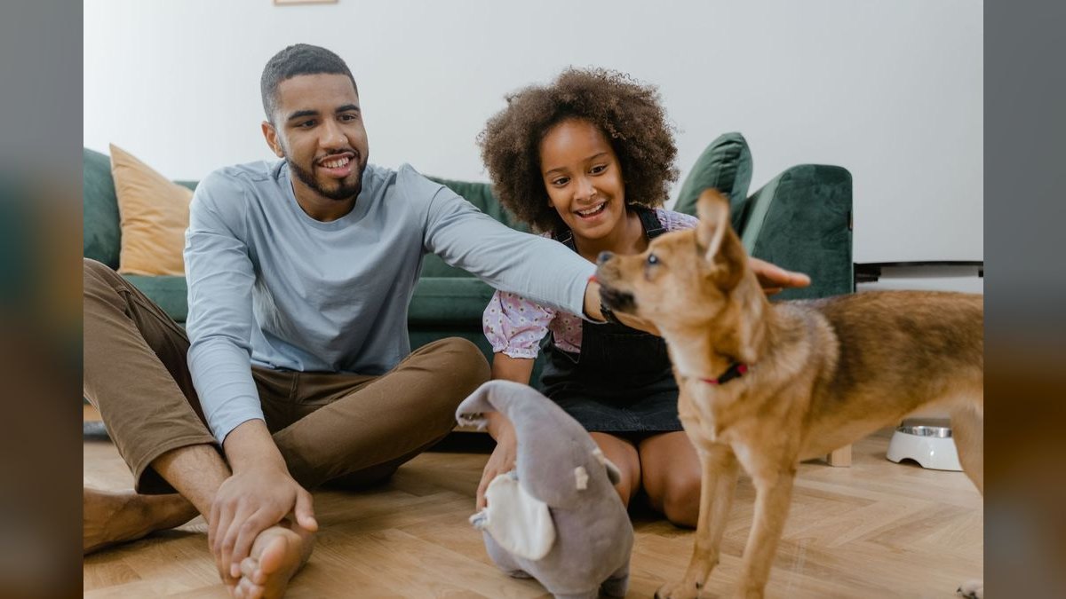 Top 10 best Pets options in 2027 — figure 2