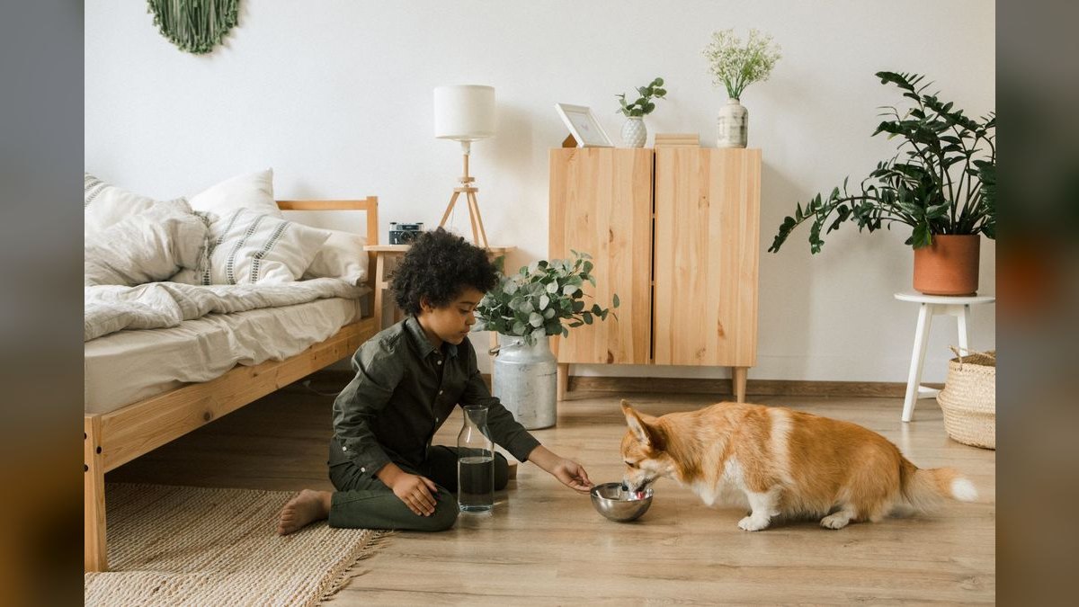 Top 10 best Pets options in 2027 — figure 3