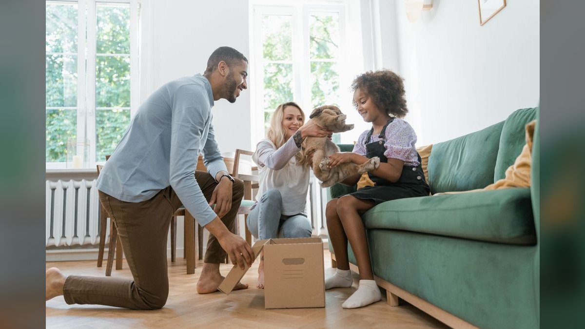 Top 10 best Pets options in 2027 — figure 5