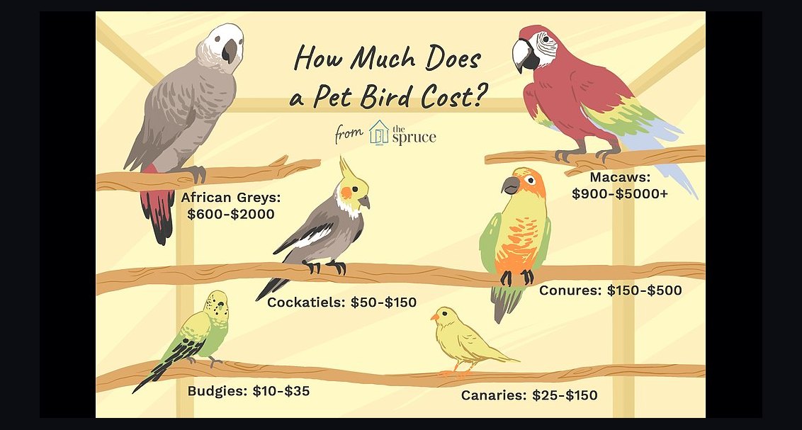 How much do Pets cost in 2027?