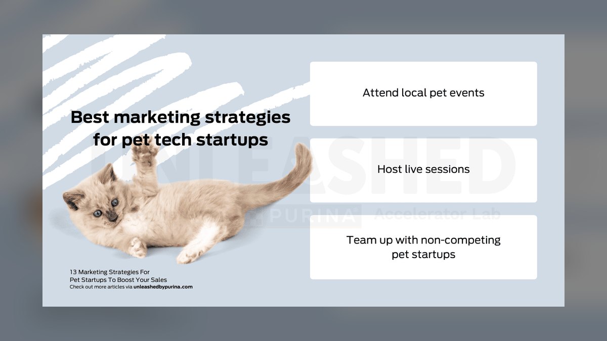 Top 10 Pets strategies for 2027 — figure 9