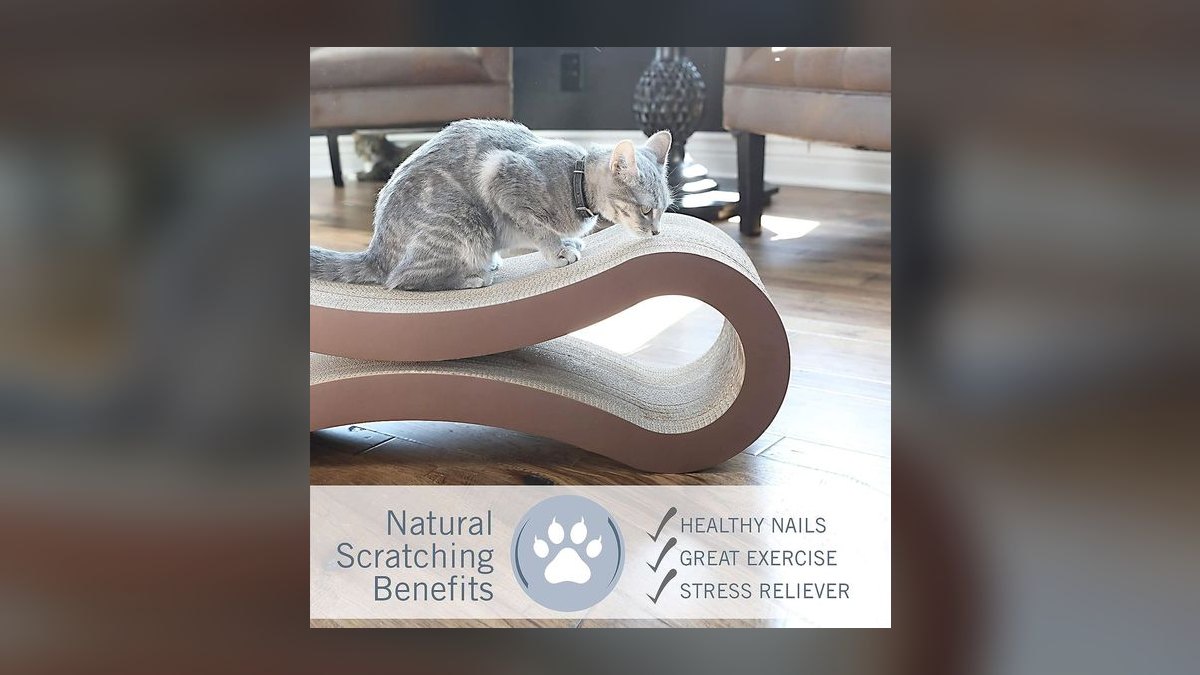 Top 10 interactive cat toys for indoor enrichment in 2027 — figure 10