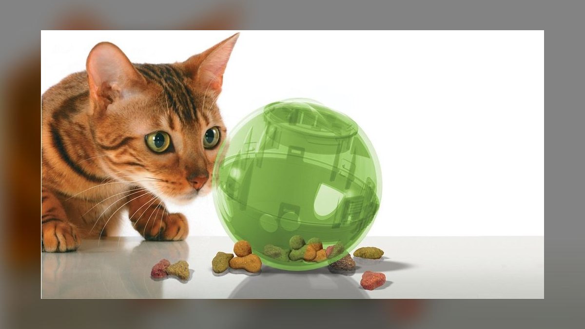 Top 10 interactive cat toys for indoor enrichment in 2027 — figure 2