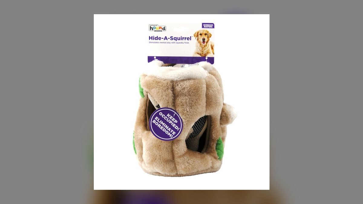 Top 10 interactive cat toys for indoor enrichment in 2027 — figure 9