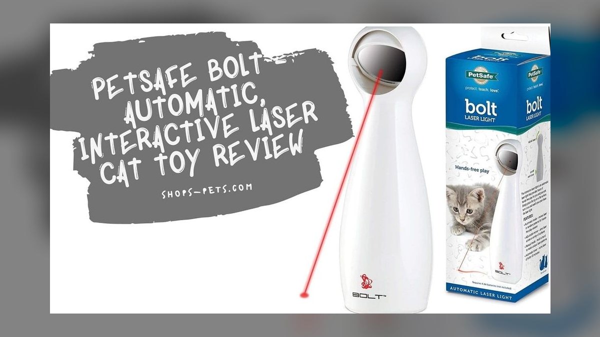 Top 10 Interactive Cat Laser Toys for High-Energy Indoor Kittens in 2027 — figure 1