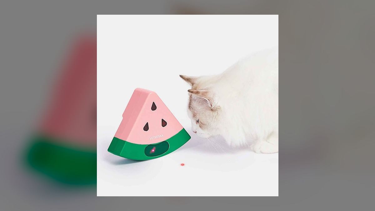 Top 10 Interactive Cat Laser Toys for High-Energy Indoor Kittens in 2027 — figure 10