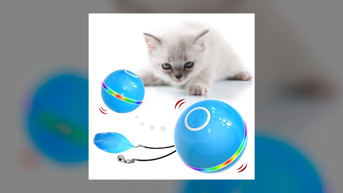 Top 10 Interactive Cat Laser Toys for High-Energy Indoor Kittens in 2027 — figure 3