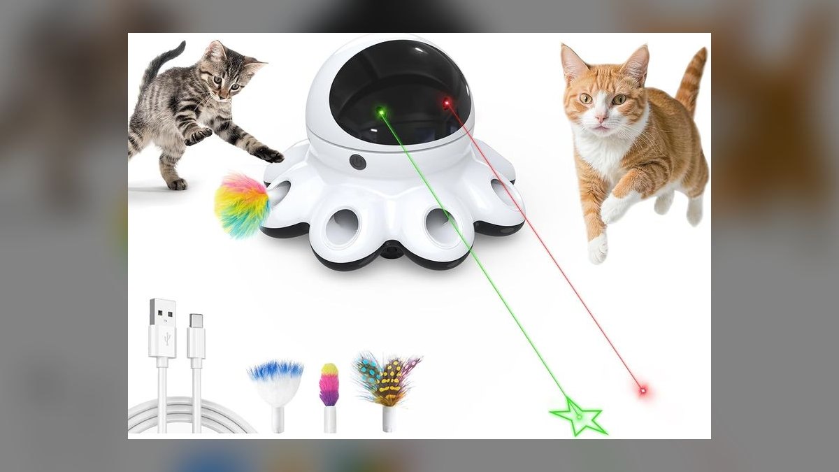 Top 10 Interactive Cat Laser Toys for High-Energy Indoor Kittens in 2027 — figure 6